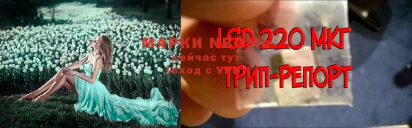 твердый Армянск